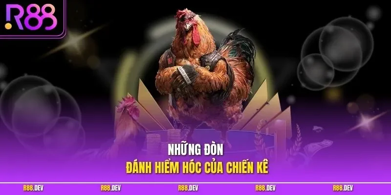 Những đòn đánh hiểm hóc của chiến kê 
