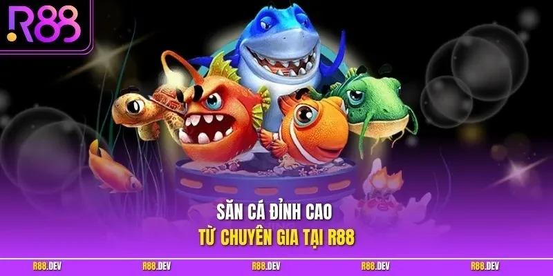 Săn cá đỉnh cao từ chuyên gia tại R88