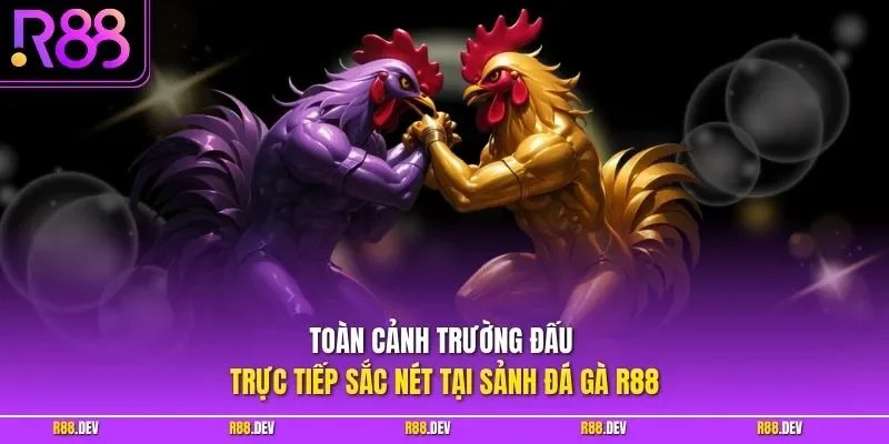 Toàn cảnh trường đấu trực tiếp sắc nét tại sảnh đá gà R88